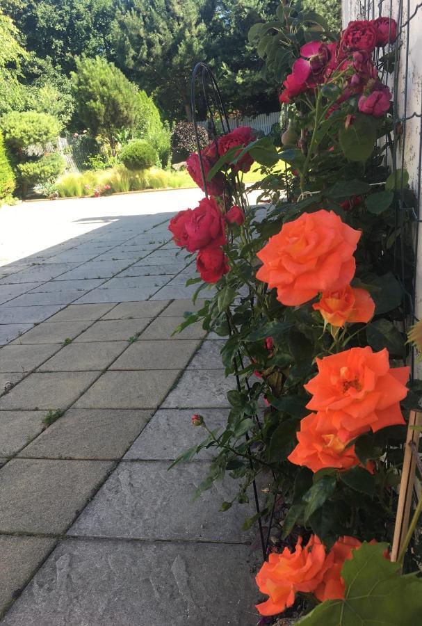 Klidne A Utulne Ubytovani Brno Stary Liskovec Dış mekan fotoğraf